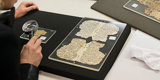papyri